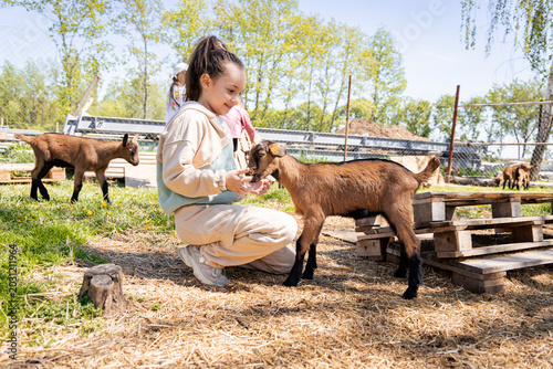 Young girl interacting with a friendly goat on a sunny day at a petting farm.