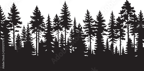 Tableau sur toile Dense pine and fir trees forest silhouette graphic for wild landscape