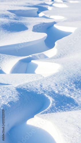 Drifting snowforms create undulating waves and shadows in bright sunlight