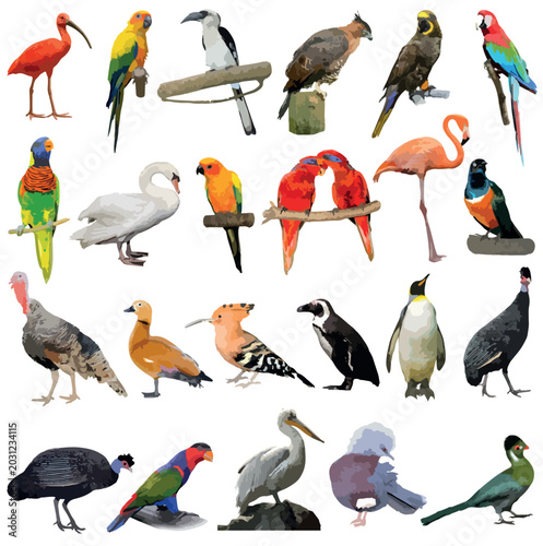 Photography Exotic Birds Collection