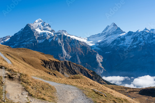 Valokuva Winding gravel hiking trail crossing autumn alpine meadow towards majestic snow peaks