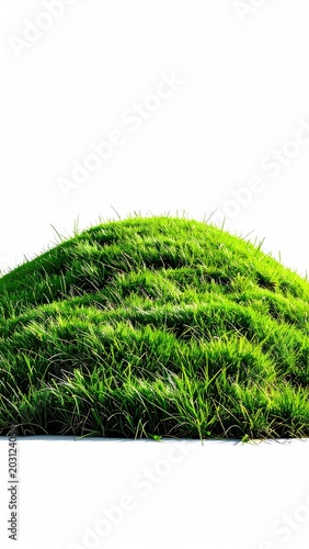 Lush green hill rises against a stark white background