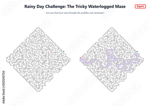 Billede på lærred Rainy Day Challenge: The Tricky Waterlogged Maze