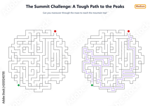 The Summit Challenge: A Tough Path to the Peaks