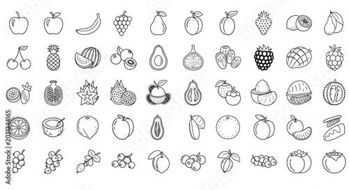 Collection of Hand Drawn Fruit Illustrations.