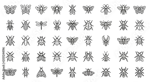 Cuadro en lienzo Collection of Various Insect Illustrations in Black and White.