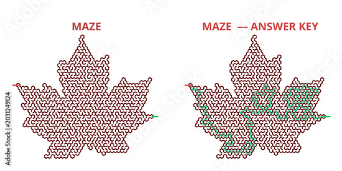 Tableau sur toile Leaf-shaped maze design with answer key illustration