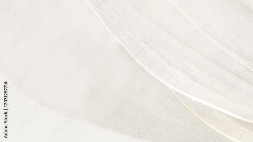 Fototapeta premium Abstract background with a soft beige background, featuring smooth, flowing beige textures and subtle, curved lines. Gray desktop wallpaper with copy space.