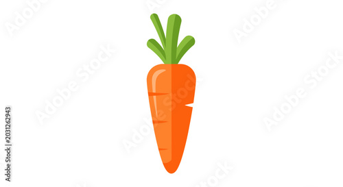 Фотография Fresh orange carrot vegetable.