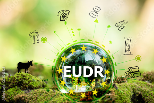 EUDR on crystal globe and icon on natural background. Regulations on deforestation-free products concept.
