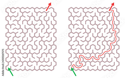 Maze Hex 10X15 03 (1) | Printable Puzzle with Solution