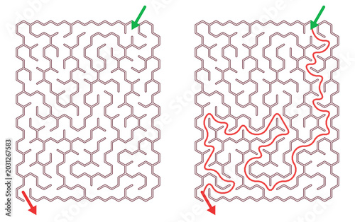 Maze Hex 10X15 02 (1) | Printable Puzzle with Solution