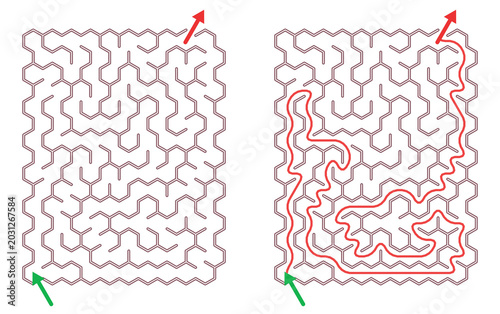 Maze Hex 10X15 04 (1) | Printable Puzzle with Solution