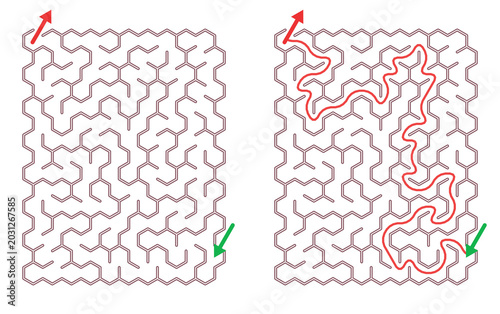 Maze Hex 10X15 01 (1) | Printable Puzzle with Solution