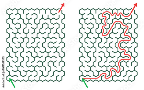 Maze Hex 10X15 04 | Printable Puzzle with Solution