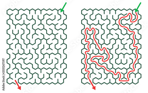 Maze Hex 10X15 02 | Printable Puzzle with Solution
