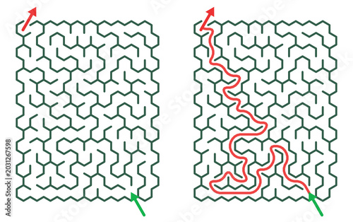 Maze Hex 10X15 03 | Printable Puzzle with Solution