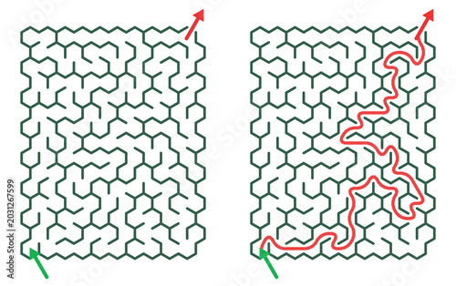 Maze Hex 10X15 01 | Printable Puzzle with Solution