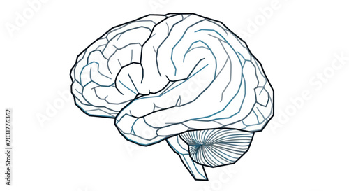 Minimalist line art illustration of a human brain isolated on white
