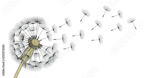 Tableau sur toile Minimalist illustration of a dandelion seed head with seeds flying in the wind