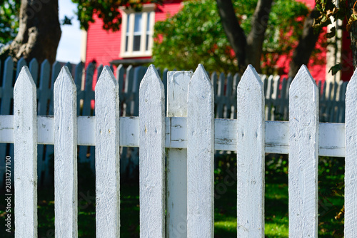 A white wooden picket fence with wide palings and pointed boards is in the foreground. Large maple trees and shrubs are in the yard behind the fence, with the sun shining through the lush shrubs. 