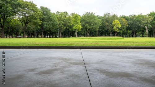 Empty concrete ground in front of lush green park.