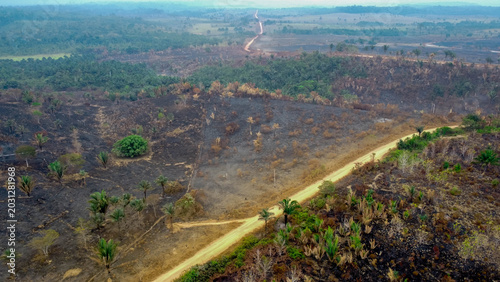 Fotografi APUI, BRAZIL - AUGUST 12, 2020: Wide shot of severe deforestation and forest degradation caused by wildfires at Apui Amazonas do Brasil