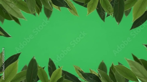 A vibrant green background framed by lush natural leaves