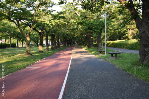 Quiet Outdoor Running Course in a Green Park