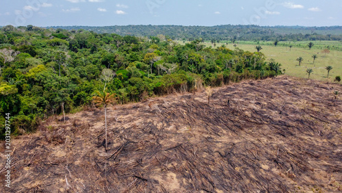 Photos APUI, AMAZONAS, BRAZIL - OCTOBER 3, 2020: Severe destruction and charred forest land after an intense wildfire in the Amazon basin at Apuí Amazonas do Brasil