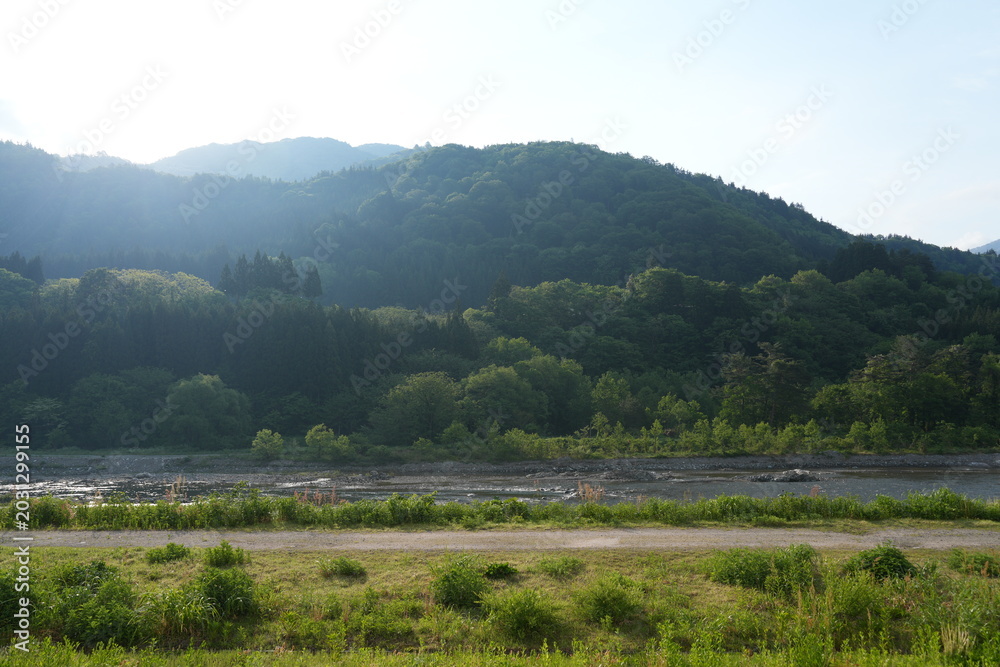 Naklejka premium Beautiful mountain river landscape with green forest in Japan.
