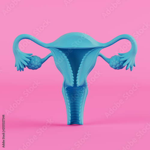 Reproductive Health And Gynecology Concept. Blue Duotone Uterus Anatomy Symbolizes Fertility, Wellness, And Care On Pink Background. 3d Rendering