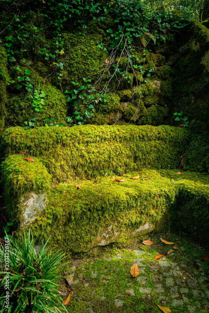Fototapeta premium Enchanting Green Mossy Stone Garden Bench and Wall in a Lush, Verdant Outdoor Setting. Vertical photo