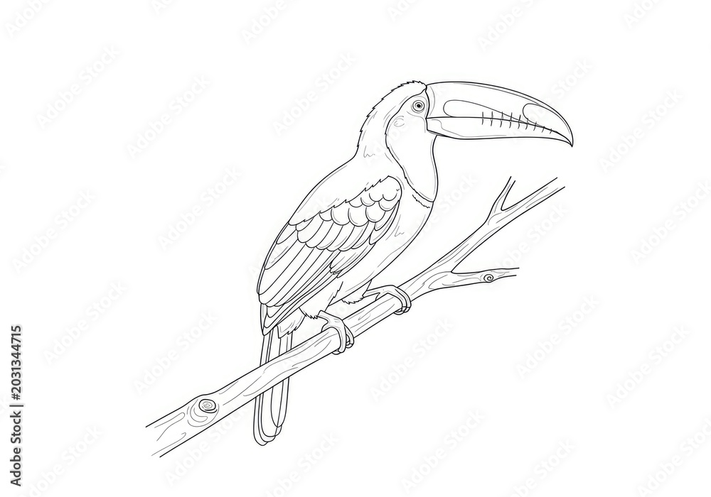 Naklejka premium A toucan perches on a branch. The toucan is a colorful bird with a large, curved beak.