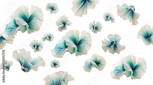 Slika na platnu Dreamy teal and white translucent flowers with intricate details, isolated on a transparent background for beauty