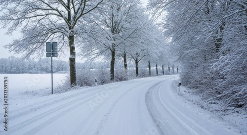 Snowy road curves through a winter landscape, lined with snow-covered trees