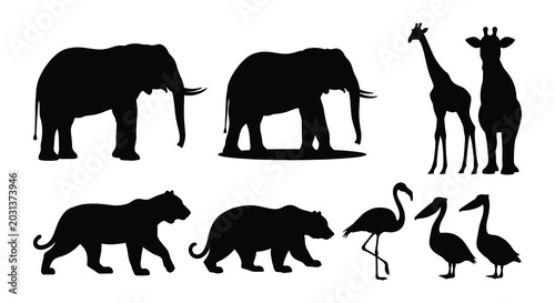 Photography African animal silhouettes on a white background