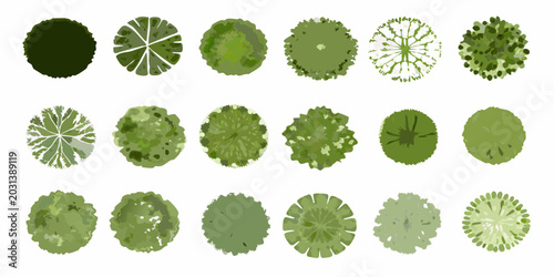 Foto Collection of top down view tree canopies stylized vector illustration on white