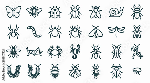 Foto Insect and Arachnid Outline Icons Set - Bug, Butterfly, Bee, Spider, Beetle