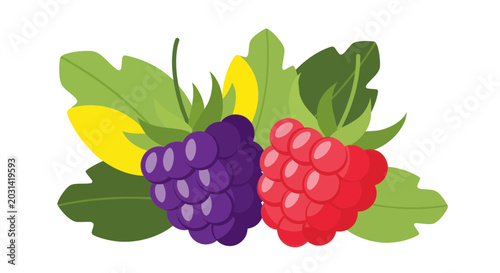 Foto Fresh Raspberries and Blackberries with Green Leaves, Healthy Berries