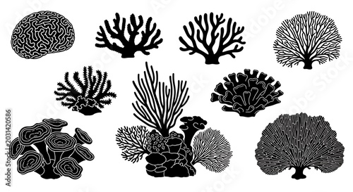 Black coral reef silhouettes on white background for decorative designs