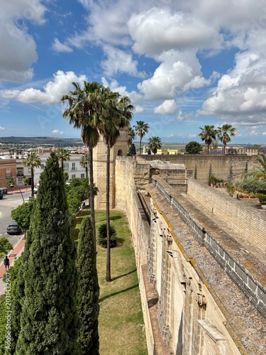 palm trees on the old castle in jerez spain