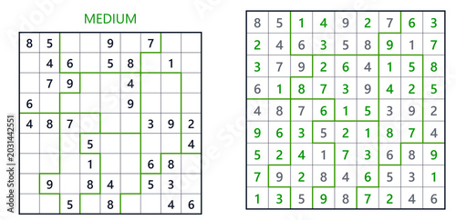 Sudoku puzzles displayed with numbers and highlighted grids  