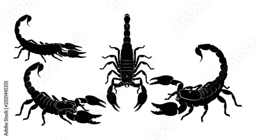 Photos Scorpion Silhouettes: Multiple Poses of Arachnid Danger