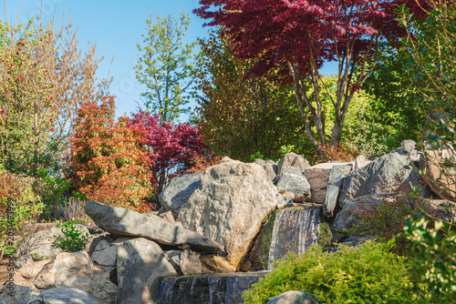 Serene garden scene with a small waterfall cascading over natural rocks. landscaping. Lush greenery surrounds the water feature, including vibrant red-leafed trees and shrubs.