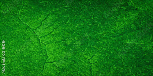 Photos Abstract green paint texture mimicking a closeup pattern of a natural summer gra