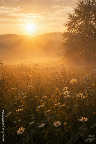 sunrise over the river