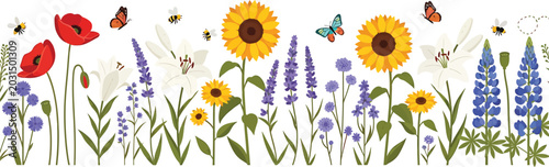 Wildflower garden border with sunflowers poppies lilies and lavender featuring butterflies and bees for nature design vector illustration