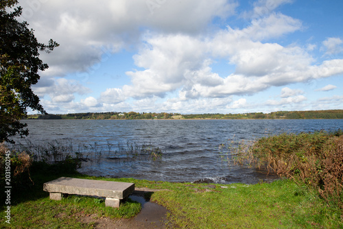 Tableau sur toile Nature at the lake of Sjælsø in in Denmark in Rudersdal
