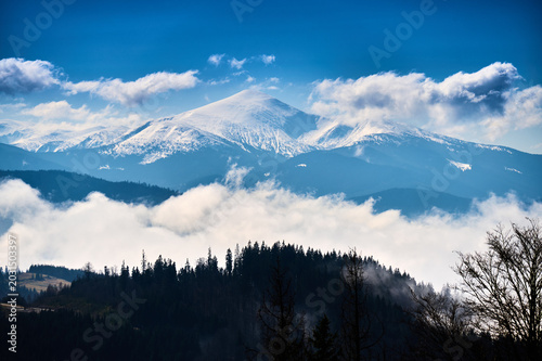 Fotografie Snow covered Hoverla peak in Carpathian Mountains rising above misty forest and low clouds under clear blue sky
